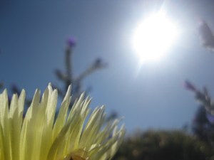 IMG_0717